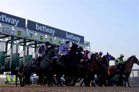 wolverhampton 8.30 race today|Racecard .
